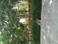  Residential Plot for Sale in Thuckalay, Kanyakumari