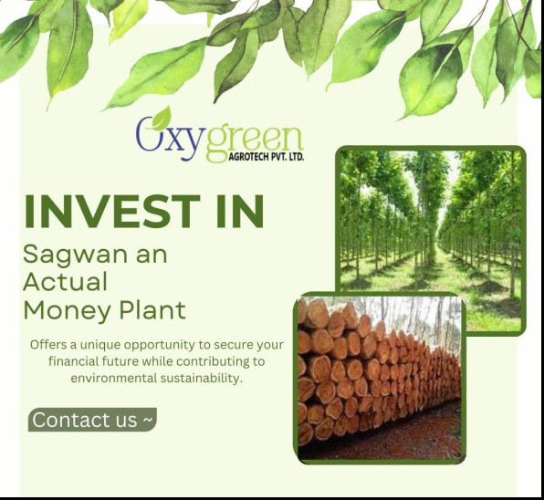 1 BHK Farm House 11000 Sq.ft. for Sale in Butibori, Nagpur