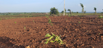  Agricultural Land for Sale in Kandi, Medak