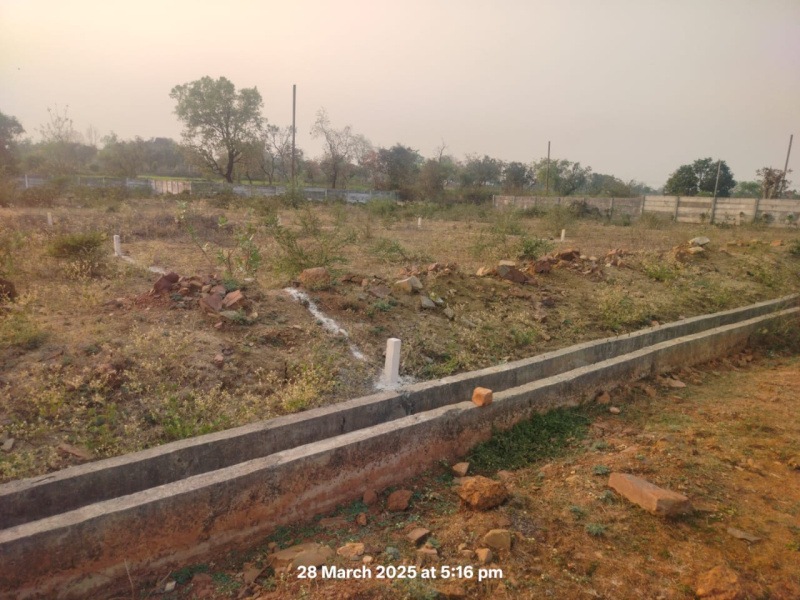  Residential Plot 1300 Sq.ft. for Sale in Koni, Bilaspur