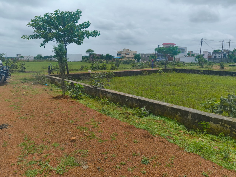  Residential Plot 1650 Sq.ft. for Sale in Khamtarai, Bilaspur