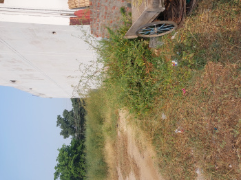  Residential Plot for Sale in Bhai Randhir Singh Nagar, Ludhiana