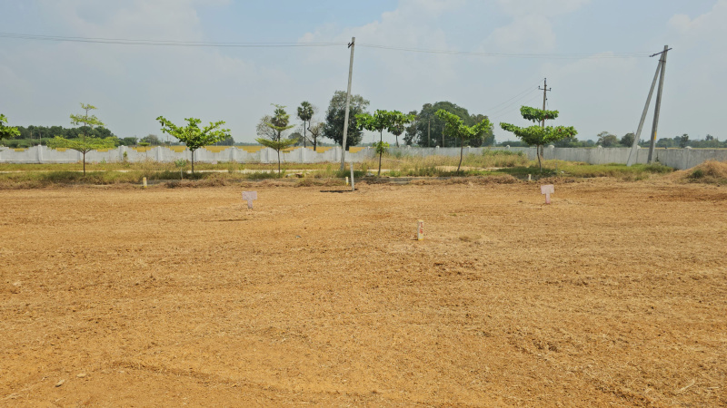  Residential Plot 1200 Sq.ft. for Sale in Yerpedu, Tirupati