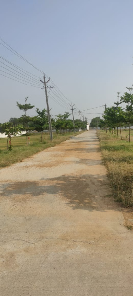  Residential Plot 1200 Sq.ft. for Sale in Yerpedu, Tirupati
