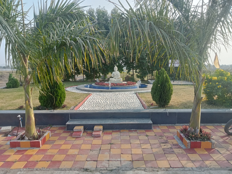  Residential Plot 1000 Sq.ft. for Sale in Rau, Indore