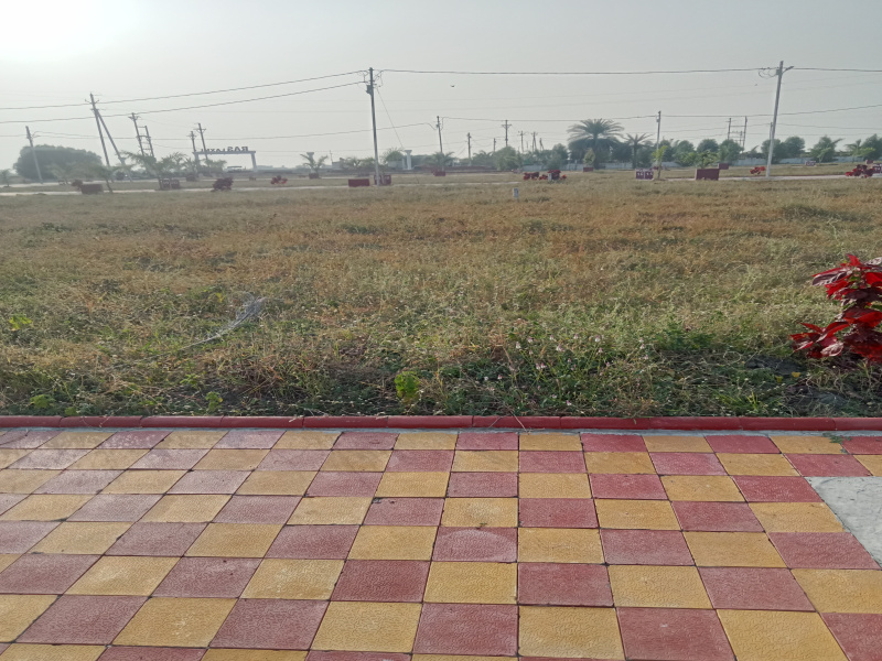  Residential Plot 590 Sq.ft. for Sale in Rau, Indore