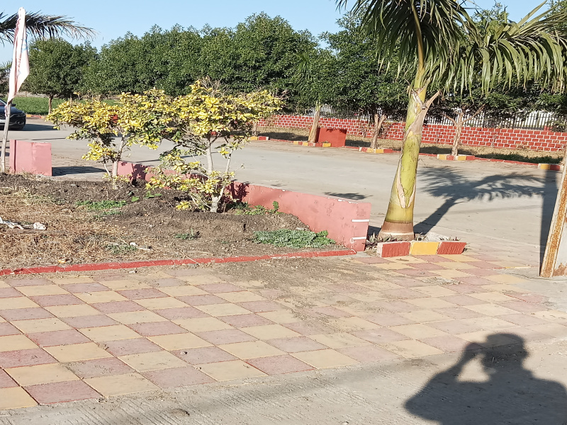  Residential Plot 800 Sq.ft. for Sale in Rau, Indore