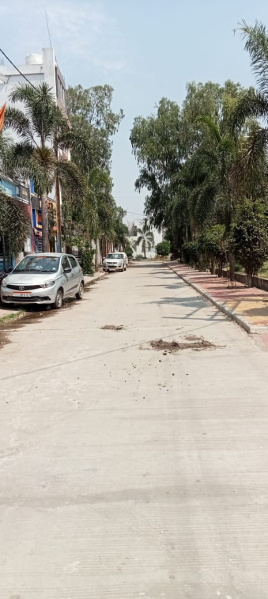  Residential Plot 800 Sq.ft. for Sale in Rau, Indore