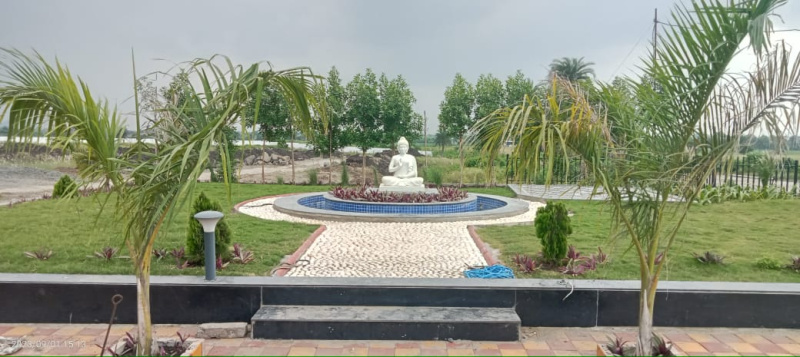 1 BHK House 430 Sq.ft. for Sale in Rau, Indore