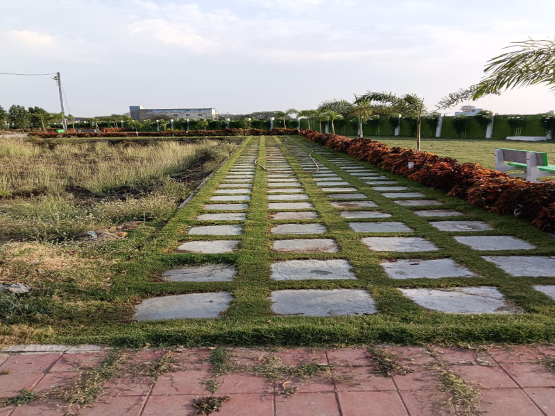 Residential Plot 600 Sq.ft. for Sale in Rau, Indore