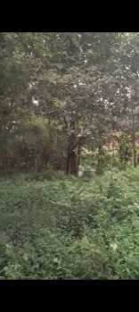  Commercial Land for Sale in Salvador Do Mundo, Bardez, Goa