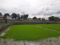 Agricultural Land for Sale in Ibrahimpatnam, Hyderabad