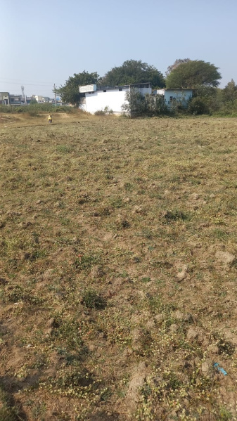  19 Guntha Agricultural/Farm Land for Sale in Kandi, Sangareddy