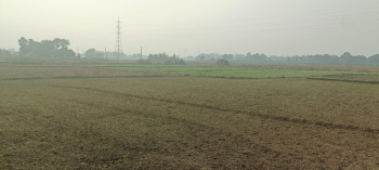  Commercial Land for Sale in Bihta, Patna