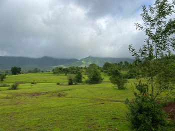  Agricultural Land for Sale in Kamshet, Pune