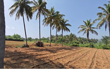  Agricultural Land for Sale in Kanakapura Road, Bangalore