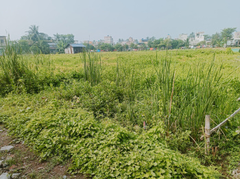  Residential Plot for Sale in Dum Dum Cantonment, Kolkata