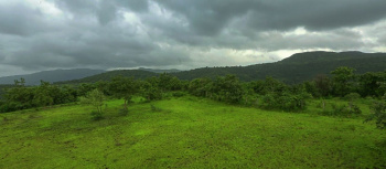  Agricultural Land for Sale in Pirangut, Pune