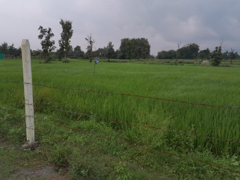 Industrial Land for Sale in Waraseoni, Balaghat