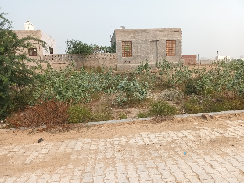  Residential Plot 2000 Sq.ft. for Sale in Somasi, Churu