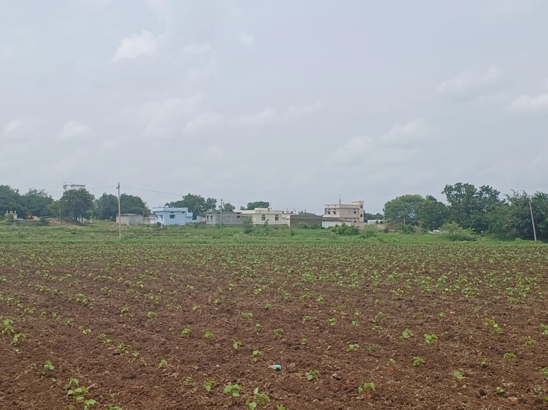  Residential Plot 605 Sq. Yards for Sale in Kondurg, Mahbubnagar