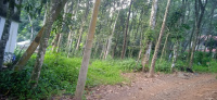 Residential Plot for Sale in Kanjirappally, Kottayam