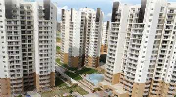 2 BHK Flat for Rent in Sector 57 Gurgaon