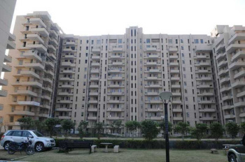 3 BHK Flat for Sale in Sector 43 Gurgaon