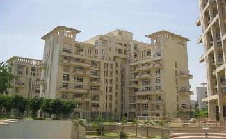 3 BHK Flat for Rent in Sushant Lok Phase I, Gurgaon