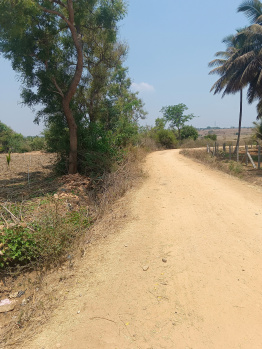  Agricultural Land for Sale in Hunsur Road, Mysore