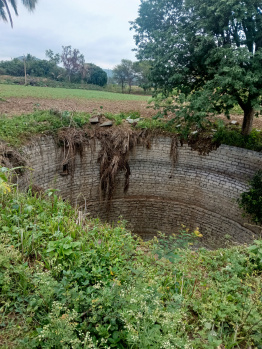  Agricultural Land for Sale in Bagepalli, Bangalore