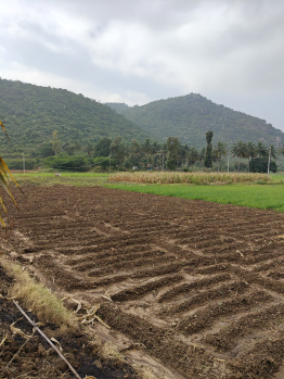  Agricultural Land for Sale in Kollegal, Chamrajnagar