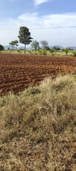  Agricultural Land for Sale in Kollegal, Chamrajnagar