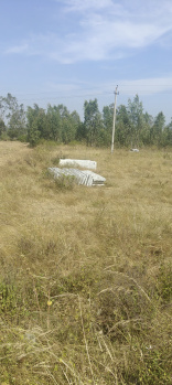  Residential Plot for Sale in Bangarapet, Kolar