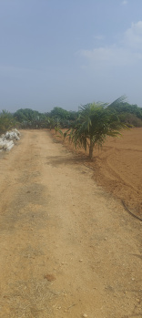  Agricultural Land for Sale in Bethamangala, Kolar