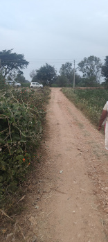 Agricultural Land for Sale in Hunsur Road, Mysore