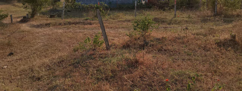  Residential Plot 157 Sq. Meter for Sale in Bogda, Satara