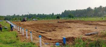  Agricultural Land for Sale in Vadasithur, Coimbatore