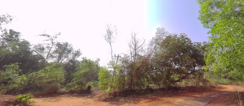  Agricultural Land for Sale in Kundapura, Udupi