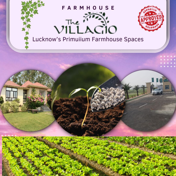 2 BHK Farm House 7500 Sq.ft. for Sale in Mohanlalganj, Lucknow