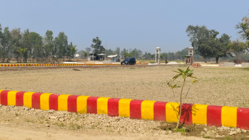  Residential Plot 1250 Sq.ft. for Sale in Gosainganj, Lucknow