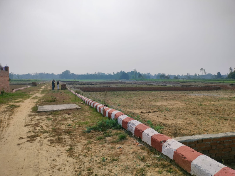  1000 Sq.ft. Residential Plot for Sale in Gosainganj, Lucknow