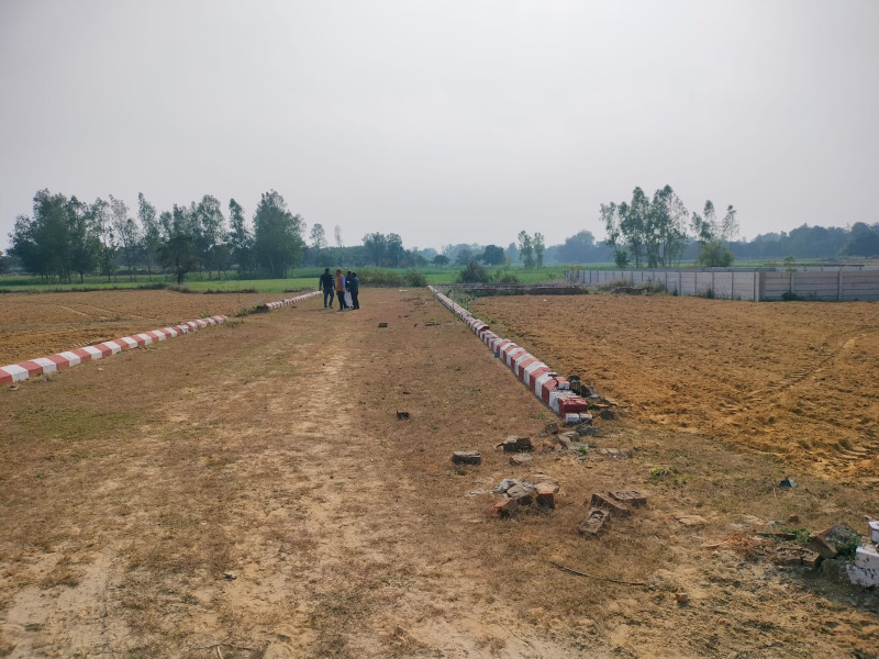  1000 Sq.ft. Residential Plot for Sale in Gosainganj, Lucknow