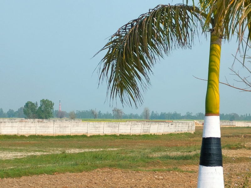  1000 Sq.ft. Residential Plot for Sale in Gosainganj, Lucknow