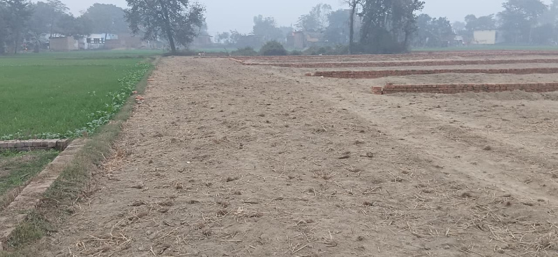  1000 Sq.ft. Residential Plot for Sale in Tal Kandala, Gorakhpur