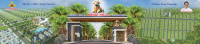  Residential Plot for Sale in Narasaraopet, Guntur