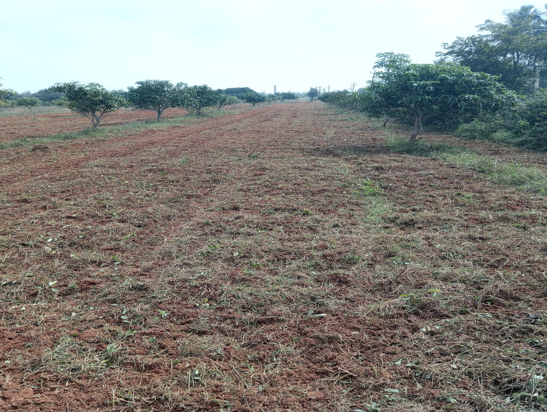 Industrial Land 9 Acre for Rent in