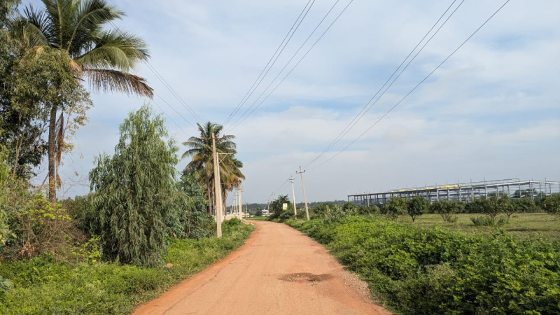  Industrial Land 9 Acre for Rent in Malur, Bangalore