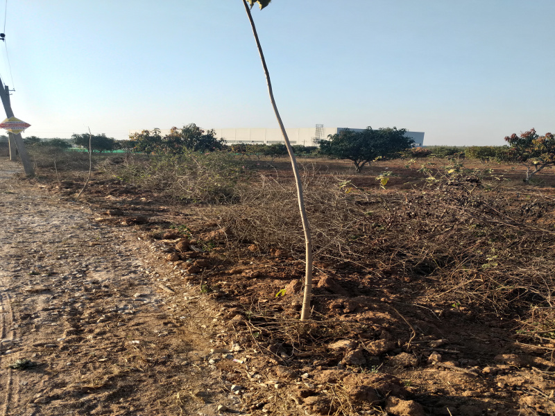  9 Acre Industrial Land for Rent in Malur, Bangalore