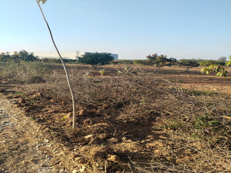  9 Acre Industrial Land for Rent in Malur, Bangalore